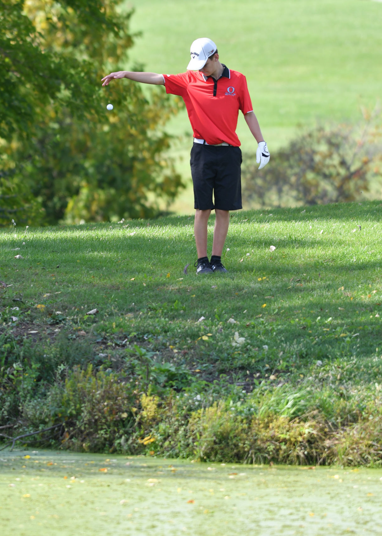 Aledo Class 1A Golf Sectional